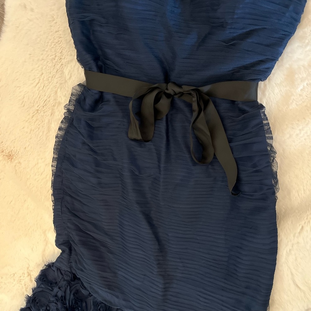 Js Collections ~ Blue Mesh Rosettes Sweetheart Me… - image 7